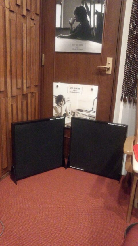 Difference between sound absorbing panel and articulatory panel