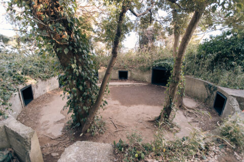 横須賀市猿島「Sense Island-感覚の島-暗闇の美術島2021」